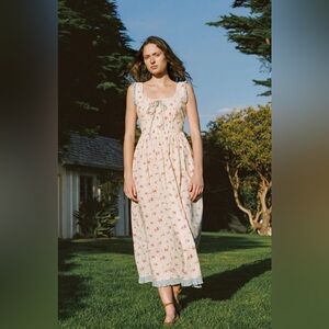 Christy dawn Eliana lantana blooms. XSP